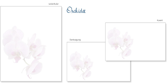 Orchidee