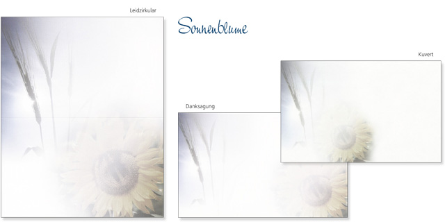 Sonnenblume